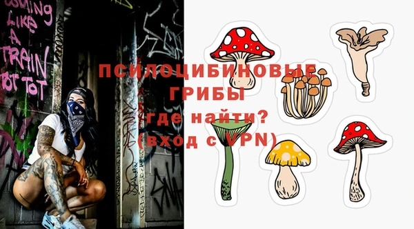 дмт Алексеевка